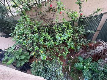 4 BHK Villa – Garden View at Ezzy Corinth, Hennur Road - for Sale