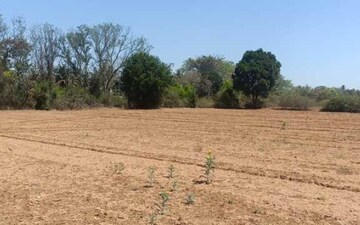 Plot For Sale in KNS Candrill, Doddaballapur
