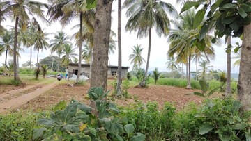  Plot For Sale in Haji Nagar