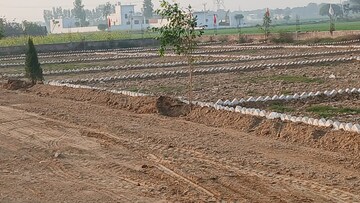Plot Area in  Plot at Tappal – for Sale