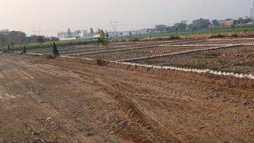 Plot Area in  Plot at Tappal – for Sale