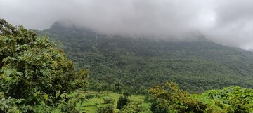  Plot For Sale in Mangaon