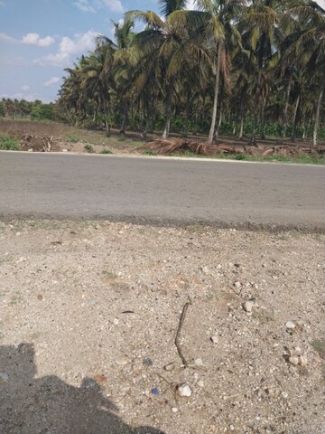  Plot – Exterior View View at Belur Road - for Sale
