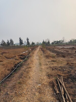  Plot For Sale in Vasai West
