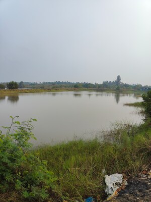  Plot – Exterior View View at Vasai West - for Sale