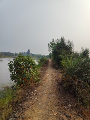  Plot – Garden View at Vasai West - for Sale