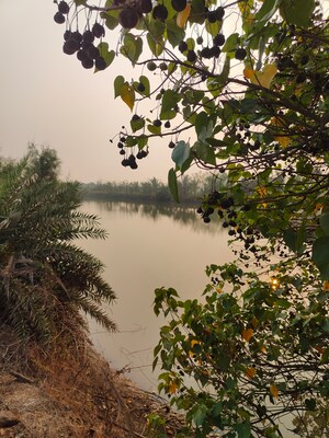  Plot – Garden View at Vasai West - for Sale