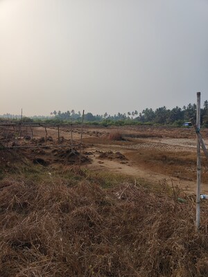  Plot – Exterior View View at Vasai West - for Sale