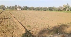  Land For Sale in Jagatpur