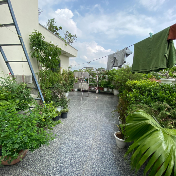 Terrace, greater kailash ii 4 Bedroom 2250 Sq.Ft. Builder Floor In Greater Kailash ii Delhi 8442922