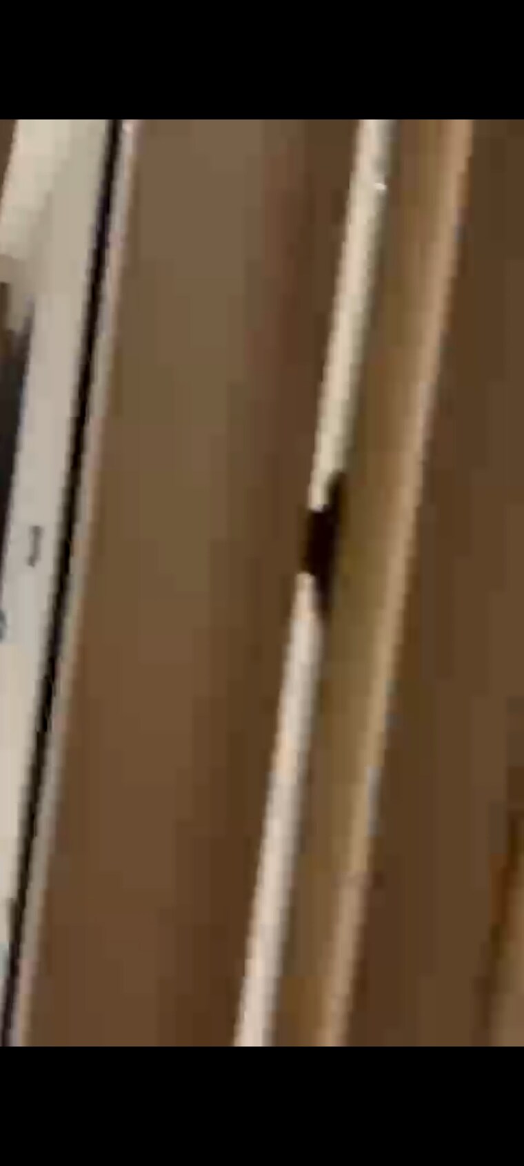 undefined, anand vihar 3 Bedroom 1750 Sq.Ft. Builder Floor In Anand Vihar Delhi 8443081