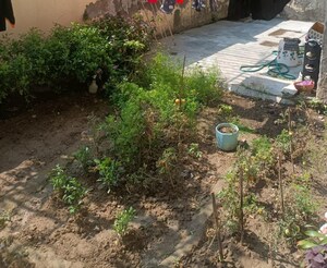 Master Bedroom in 3 BHK Apartment at SS The Palladians, Sector 47 – for Sale