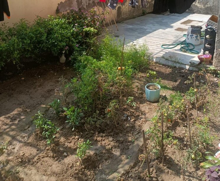 Master Bedroom, ss-the-palladians 3 Bedroom 1550 Sq.Ft. Apartment In Sector 47 Gurgaon 8443884