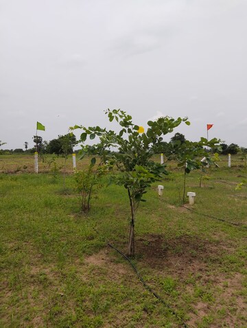  Land – Exterior View View at Mylavaram - for Sale