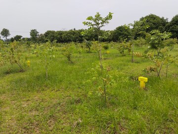 Plot Area in  Land at Mylavaram – for Sale