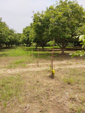 Plot Area in  Land at Mylavaram – for Sale