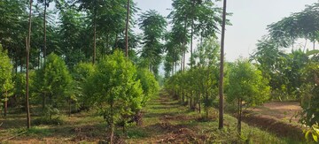  Plot – Exterior View View at Kothavalasa - for Sale