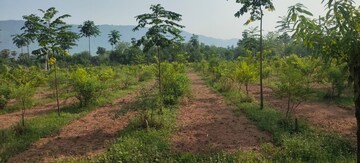  Plot – Exterior View View at Kothavalasa - for Sale