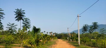  Plot – Exterior View View at Kothavalasa - for Sale