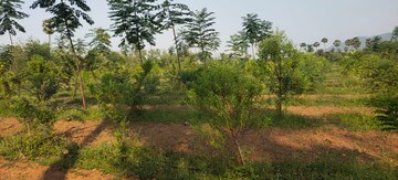  Plot – Exterior View View at Kothavalasa - for Sale