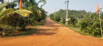  Plot – Exterior View View at Kothavalasa - for Sale