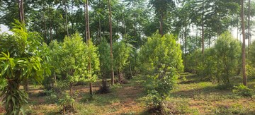  Plot – Exterior View View at Kothavalasa - for Sale