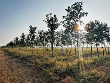 Plot Area in  Land at Andipatti – for Sale