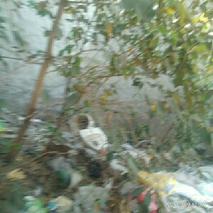  Land – Exterior View View at Pakhowal Road - for Sale