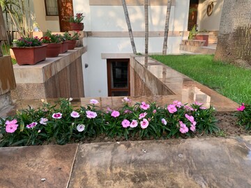 4 BHK Villa – Exterior View View at Sector 46 - for Rent