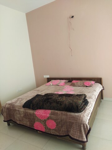Furnished Amenities in 2 BHK Independent House at GMADA Eco City, North Mullanpur – for Rent
