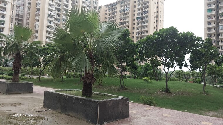 Exterior View, zeta i greater noida 3 Bedroom 1350 Sq.Ft. Apartment In Zeta I Greater Noida Greater Noida 8445092
