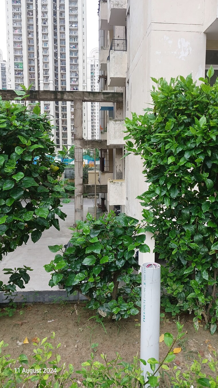 Exterior View, zeta i greater noida 3 Bedroom 1350 Sq.Ft. Apartment In Zeta I Greater Noida Greater Noida 8445092