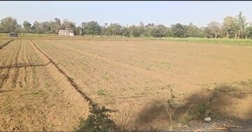  Land For Rent in Mumatpura