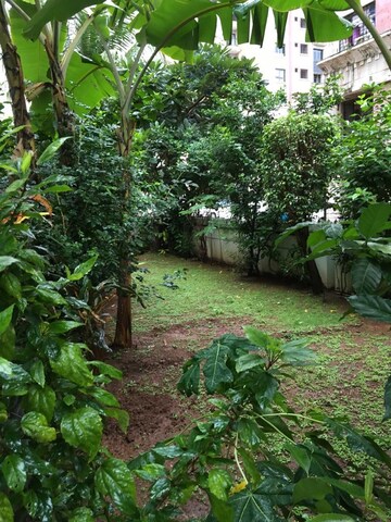 3 BHK Apartment – Garden View at Sector 11 - for Sale