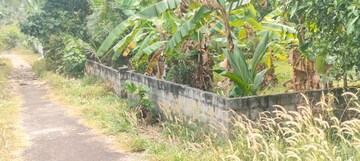 Plot Area in  Plot at Kolazhy – for Sale