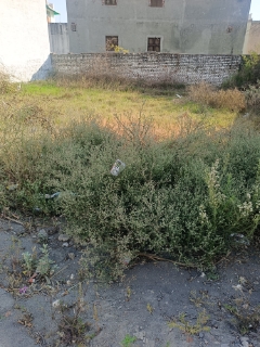Plot For Sale in Partapur