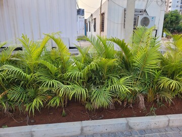 5 BHK Villa – Garden View at Nallagandla - for Sale