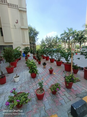 1 RK Apartment – Garden View at Maple Heights, Sector 43 - for Rent