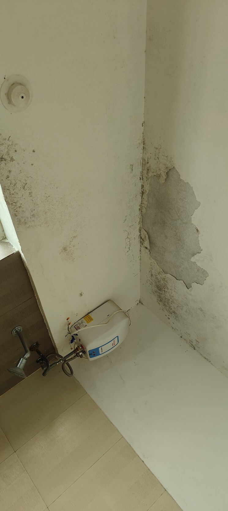 Bathroom, saheel-itrend-homes 1.5 Bedroom 550 Sq.Ft. Apartment In Hinjewadi Pune 8446947