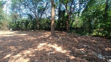  Plot – Exterior View View at Kakkanad - for Sale