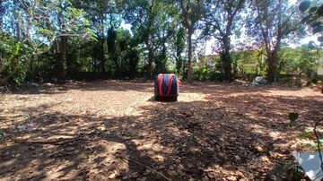 Plot Area in  Land at Kakkanad – for Sale