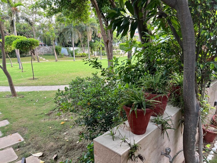 Garden, vipul-tatvam-villas 4 Bedroom 4000 Sq.Ft. Villa In Sector 48 Gurgaon 8447430