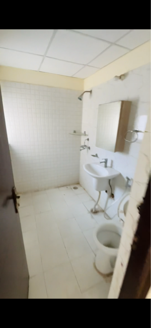 Bathroom in 3.5 BHK Apartment at Anthem French Apartment, Bhangel – for Sale