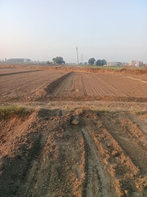  Plot – Exterior View View at Kharar Mohali Road - for Sale