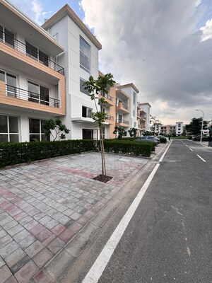 3 BHK Builder Floor For Sale in Bptp Park Floors I, Sector 77