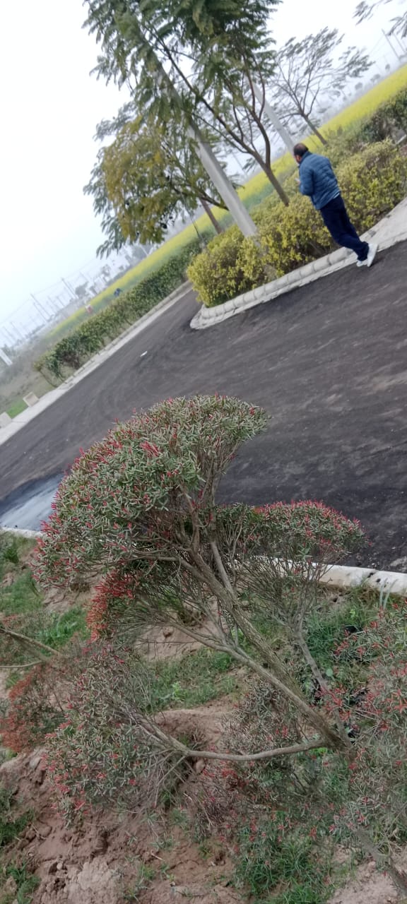 Industrial Plot For Sale in Hmt Industrial Plots Lalr