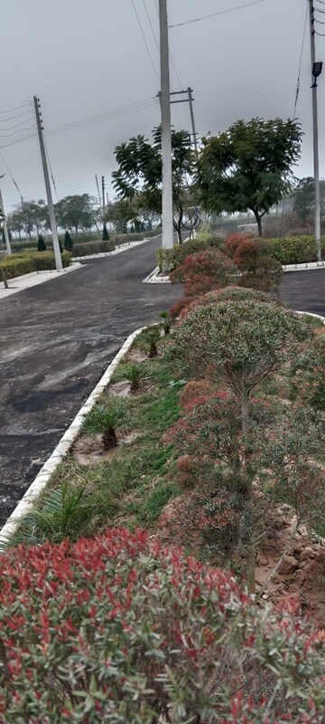  Industrial Plot – Garden View at Lalru - for Sale