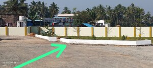  Land For Sale in Bhogapuram