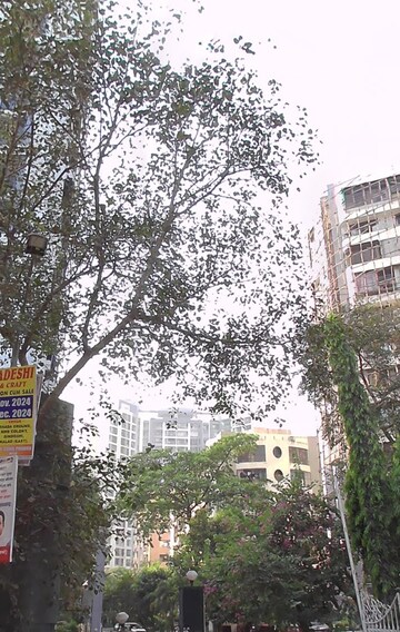 2 BHK Apartment For Rent in Vasant Valley Complex, Malad East