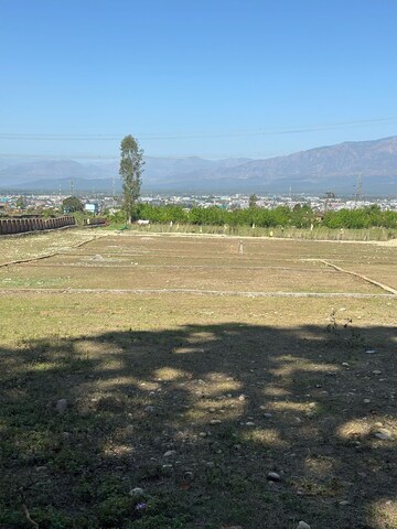  Plot – Exterior View View at Sherpur - for Sale